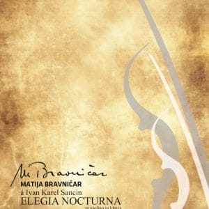 Elegia nocturna